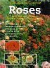 Buy Roses Book Online at Low Prices in India | Roses Reviews & Ratings ...
