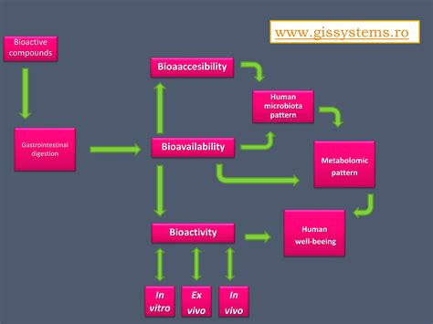 Correlations between Microbiota Bioactivity and Bioavailability of ...