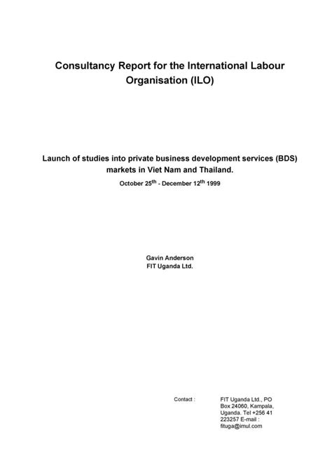 Consulting Paper Example 的图像结果