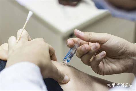 家猫不打疫苗会怎么样? – 中国宠物网