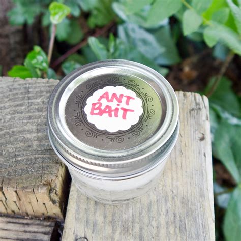 DIY Ant Bait | POPSUGAR Smart Living