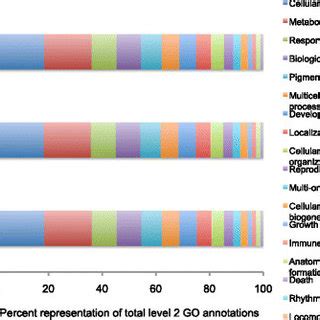 Image result for Go Annotation