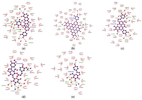 In Silico Study to Evaluate the Inhibitory Activity of a Few ...