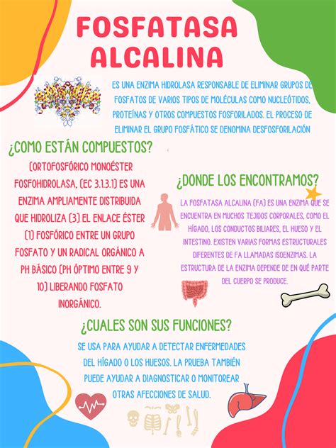 Fosfatasa Alcalina Alta