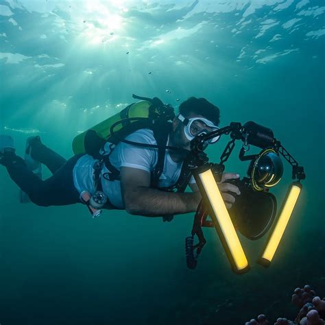 THE ONE DIVE CENTER (2026) All You Need to Know BEFORE You Go (with ...