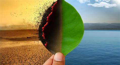 Beyond Rhetoric: How India Is Reframing Climate Action Around Energy ...