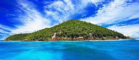 Human Migration Caused Mammal Species Extinction on Caribbean Islands ...