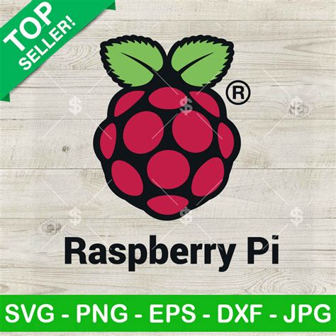 Image result for Raspberry Pi Icon