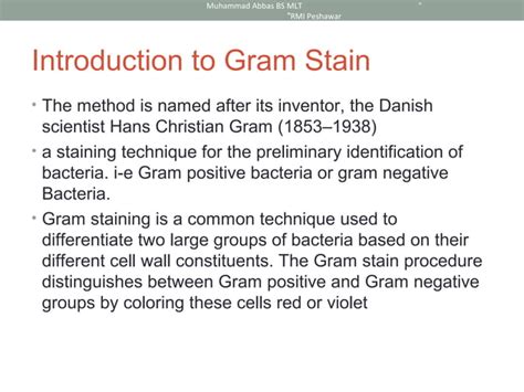 Preparation Gram Stain 的图像结果