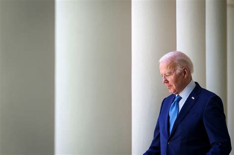 Biden 的图像结果