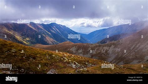 Image result for Timber Line