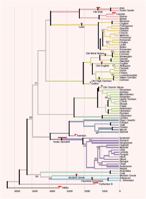 Indo-European Languages Originated in Pontic-Caspian Steppe, Research ...