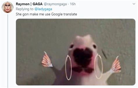 Lokah Samastah Sukhino Bhavantu: Lady Gaga's tweet takes internet by storm!