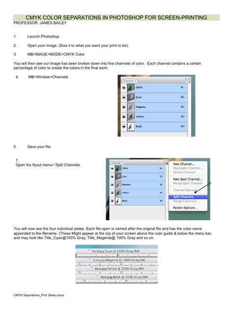 Image result for CMYK Color Separation Software