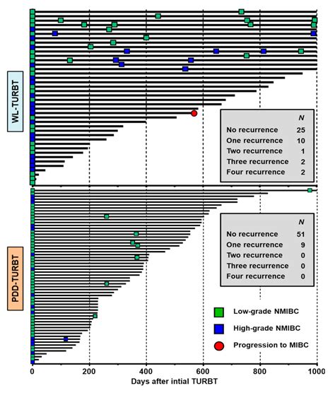 Photodynamic Diagnosis-Assisted Transurethral Resection Using Oral 5 ...