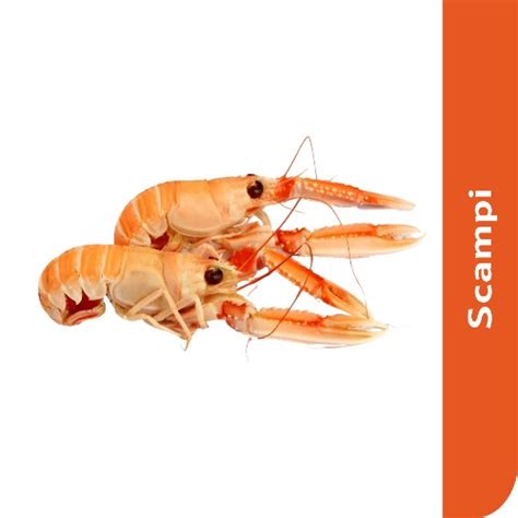 Starfresh Fresh Water Scampi 10 Count Whole 500 Gm – Starquik