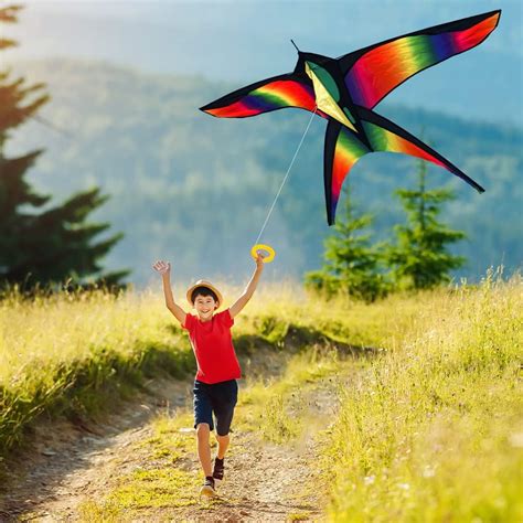 Stoie's Bird Kite for Kids Ages 4-8-12 - Large India | Ubuy