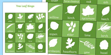 Tree Leaf Bingo