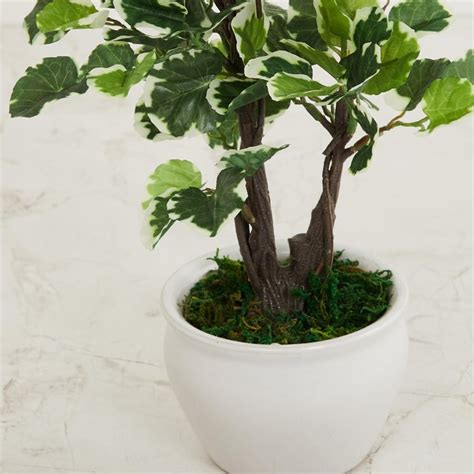 Buy Fiesta Green Artificial Potted Plant from Home Centre at just INR ...