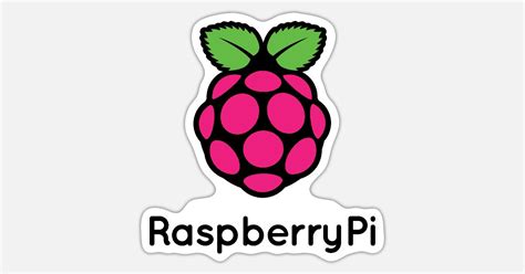 Image result for Raspberry Pi Zero Icon