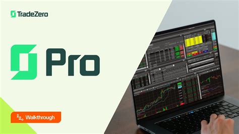 TradeZero Tutorial 的图像结果