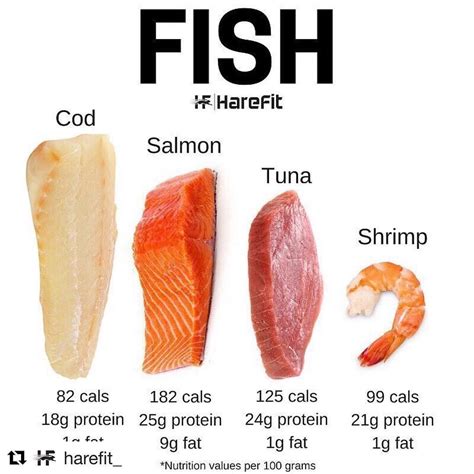 Three Types Of Fatty Fish at Lynette Bolden blog