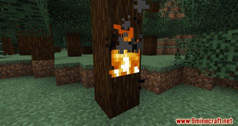 Image result for Minecraft Fire Mod