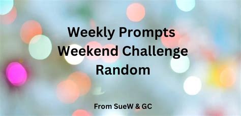 Image result for Randomness Universe