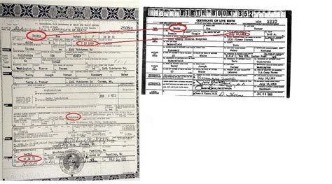 Mystery woman: After 30 years and a suicide, Lori Ruff's real identity ...