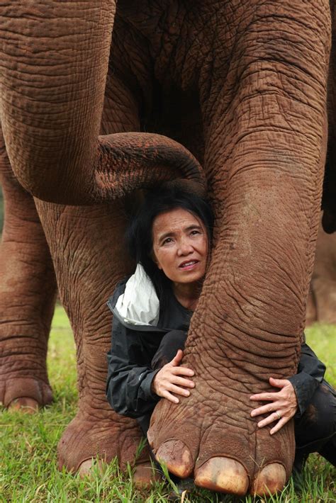 The Elephant Whisperer – Lek Chailert on Rescuing Elephants