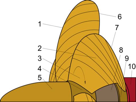 Propeller Patterns 的图像结果