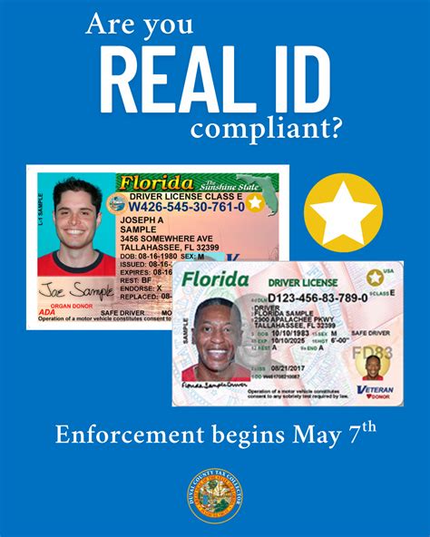 Tax Collector - Welcome