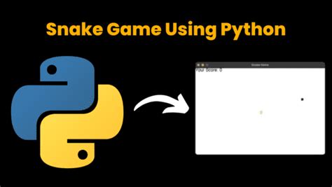 Image result for Python Code Fish Game