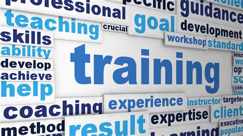 Training Check In 的图像结果