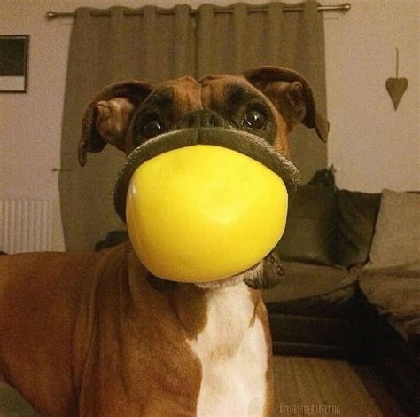 Geeking Vs Locked In