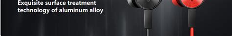 Rapoo VM150 | Stereo | In-Ear Earphone with Dual Mic (Black)