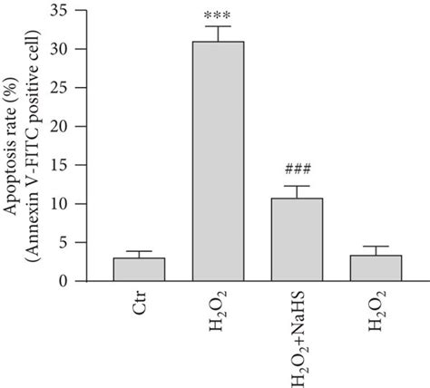 H2O2 Apoptosis 的图像结果