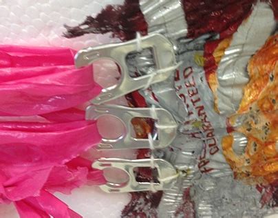 Image result for Crisp Packet Keychain