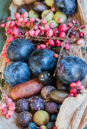 ReWild You (Kunghur) - All You Need to Know BEFORE You Go