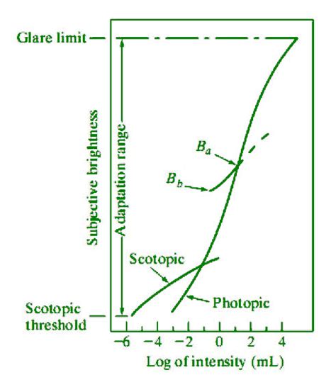 Image result for Visual Perception of Brightness