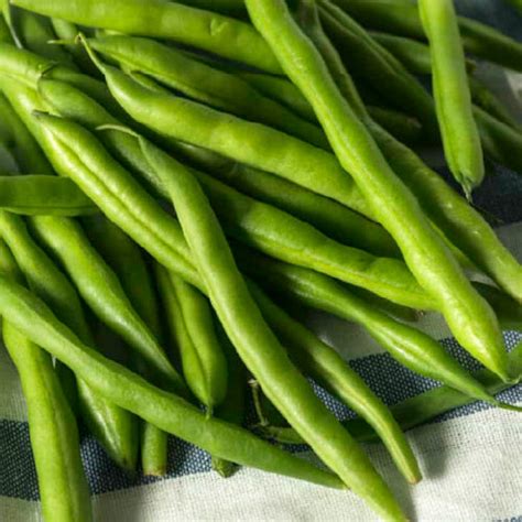 Avarakkai ( Flat Beans) – Gourmet Garden