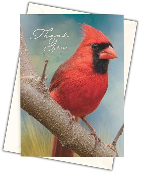 MPC Brands Funeral Thank You Cards - Sympathy Bereavement Thank You ...