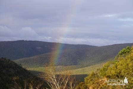 南非 的图像结果
