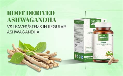 The Old Natural KSM-66 Ashwagandha 600 mg Veg Capsules | Extra Strength ...