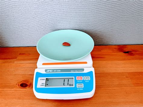 10g・20g・60gのミックスナッツはどれくらい？種類ごとに計測！｜Kojimatome