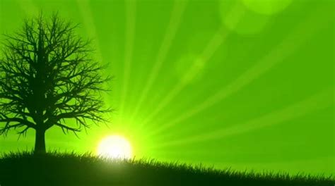 Animated Spring Background 的图像结果