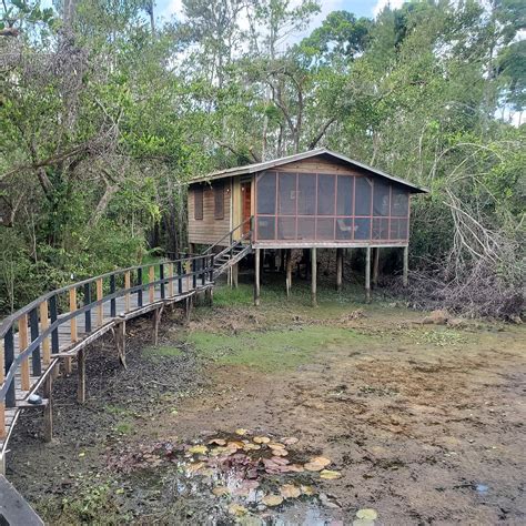 BELIZE ZOO JUNGLE LODGE/TROPICAL EDUCATION CENTER (La Democracia ...