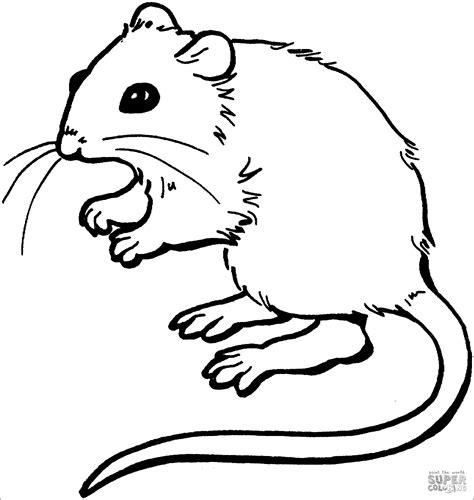 Mouse Coloring Pages - ColoringBay
