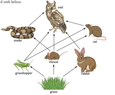 An insecticide was sprayed on the grass to control the number of ...