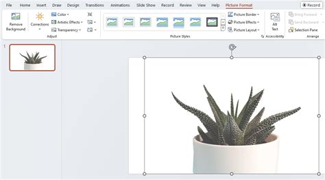 Image result for PowerPoint Transparent